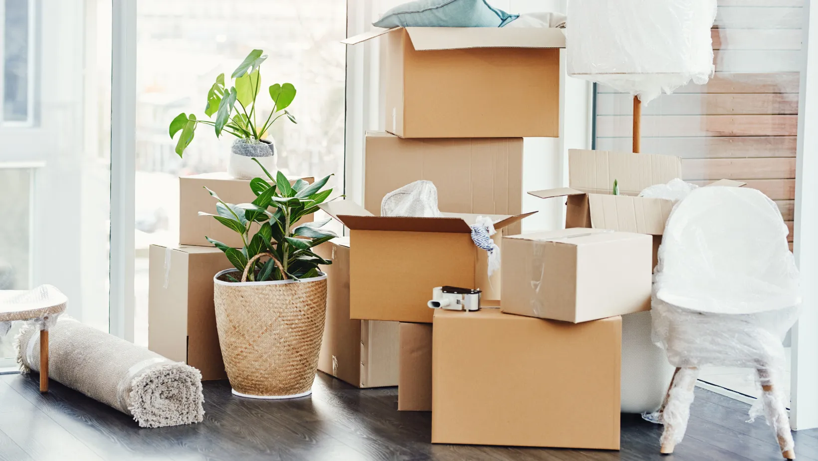 Moving boxes, potted plants, a rolled rug, and a wrapped chair by a sunny window.